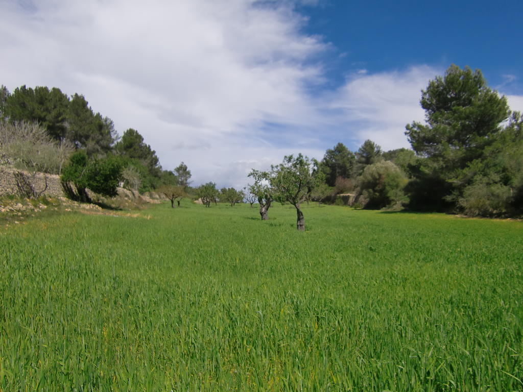 Agroturisme Perola - Only Adults Llucmajor  Εξωτερικό φωτογραφία